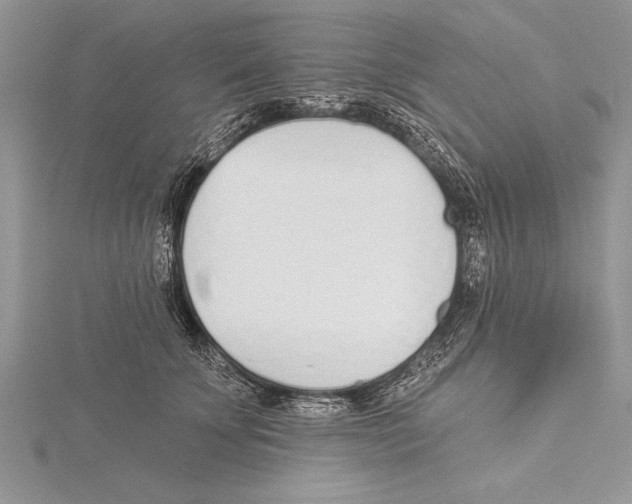 X0000115430707200912020924