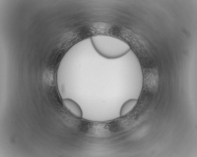 X0000115430709200912020924