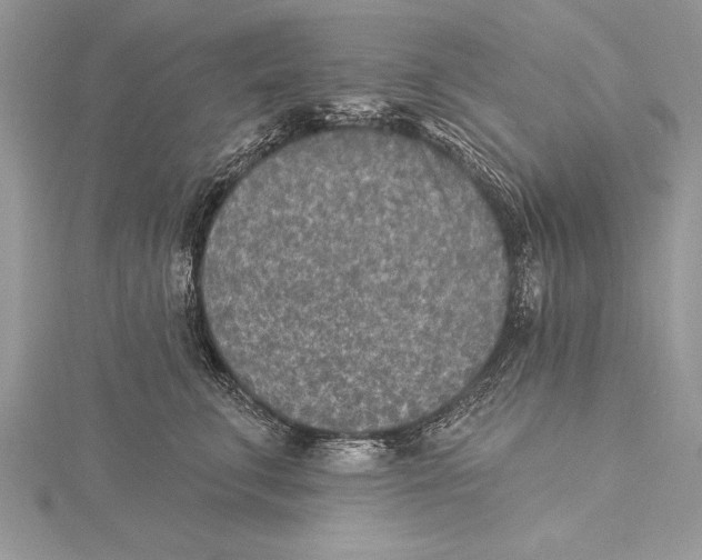 X0000115430711200912020924