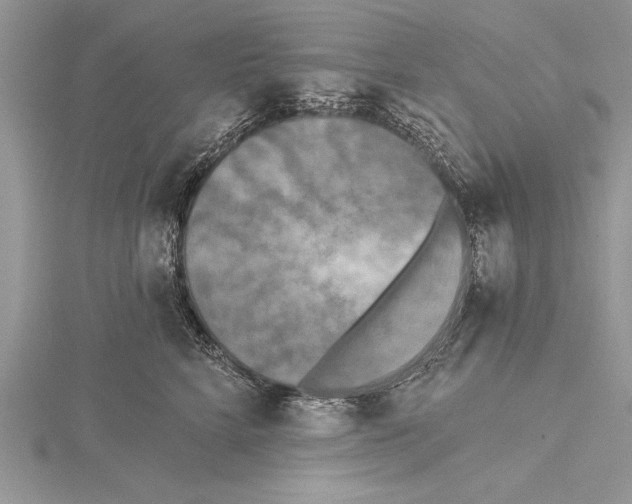 X0000115430712200912020924