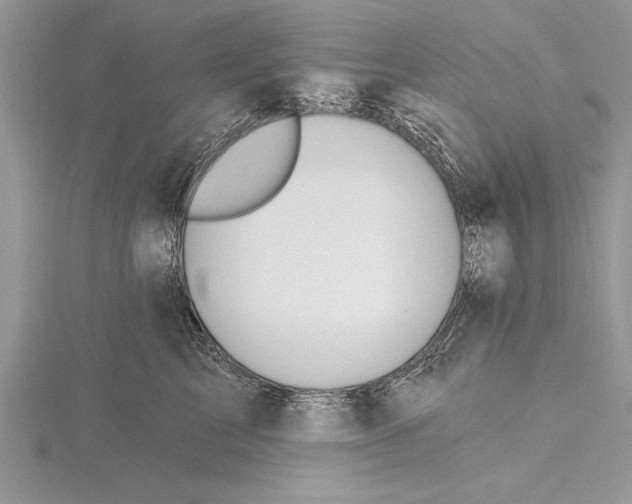 X0000115430713200912020924