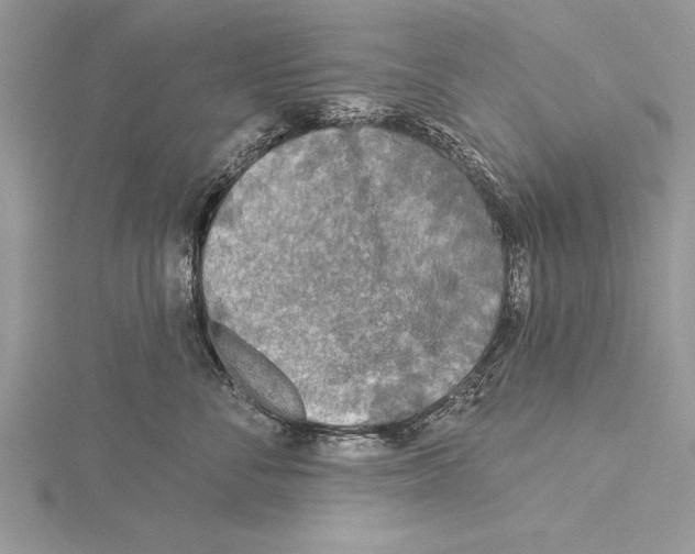 X0000115430716200912020924