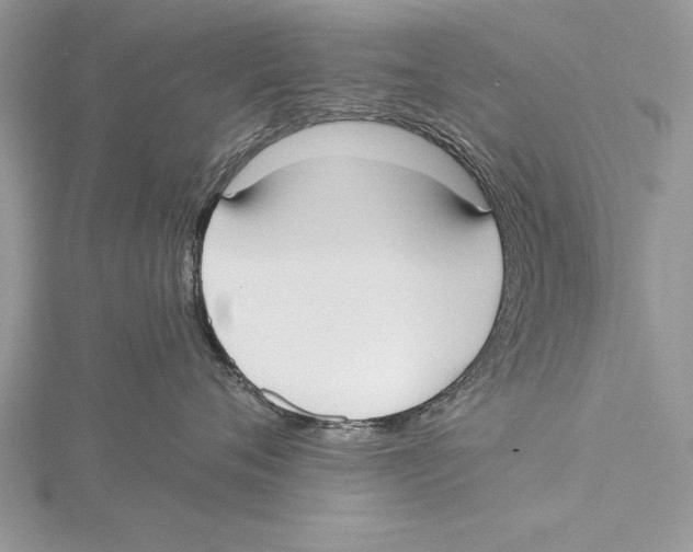 X0000115430720200912020924