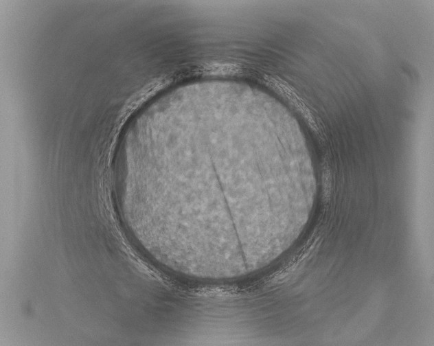 X0000115430721200912020923