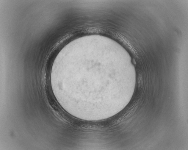 X0000115430722200912020923