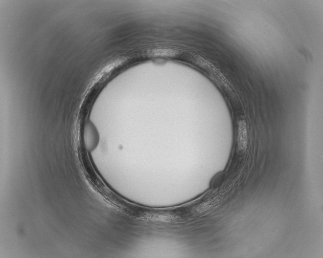 X0000115430726200912020923