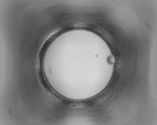 X0000115430727200912020923