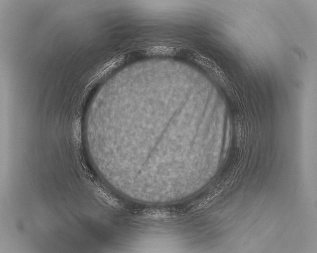 X0000115430729200912020923