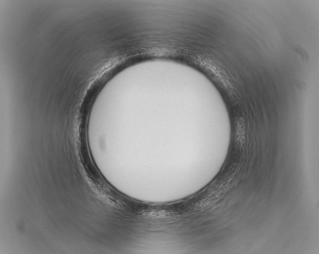 X0000115430730200912020923