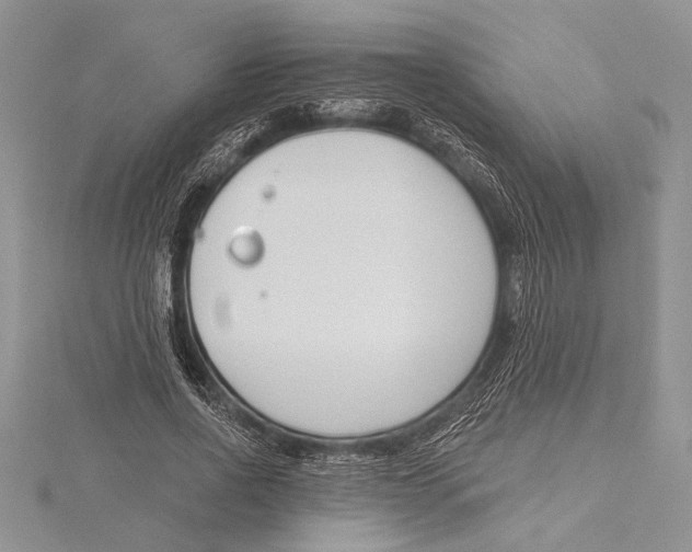 X0000115430734200912020924