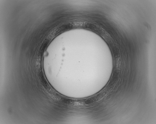 X0000115430737200912020924