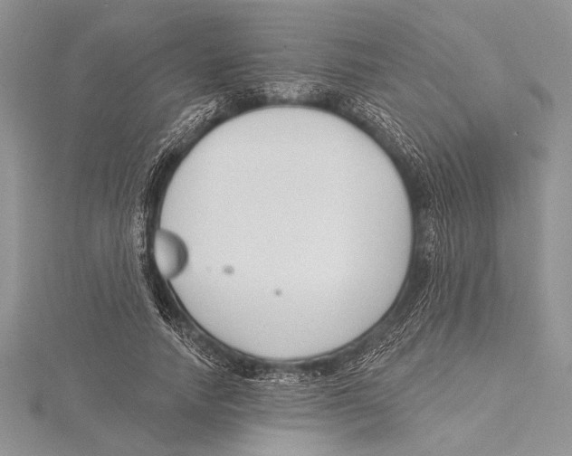 X0000115430738200912020924