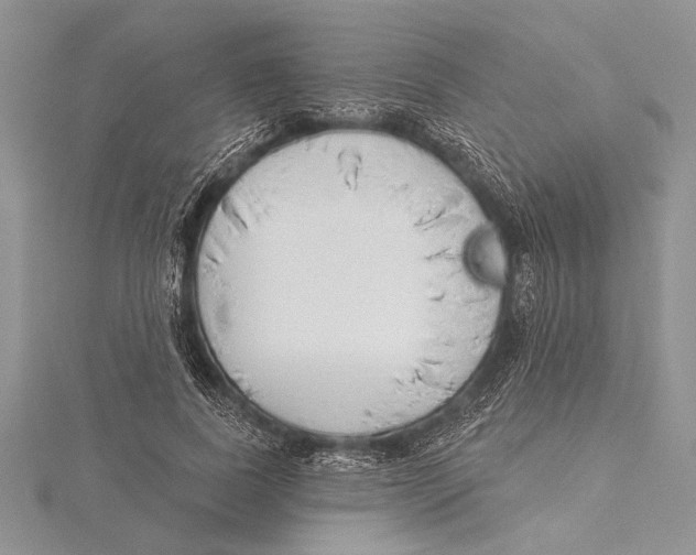 X0000115430739200912020924