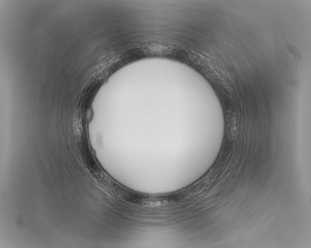 X0000115430746200912020924