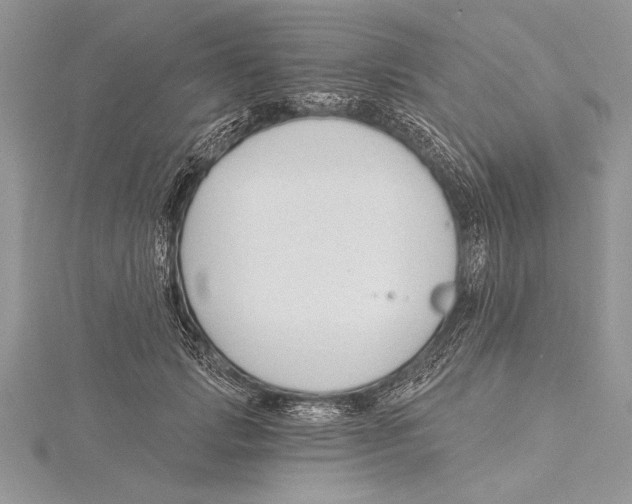 X0000115430749200912020924