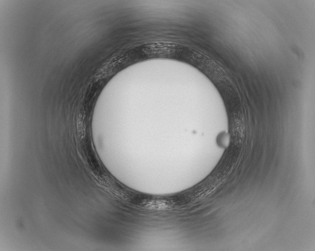 X0000115430751200912020924