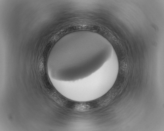 X0000115430754200912020924