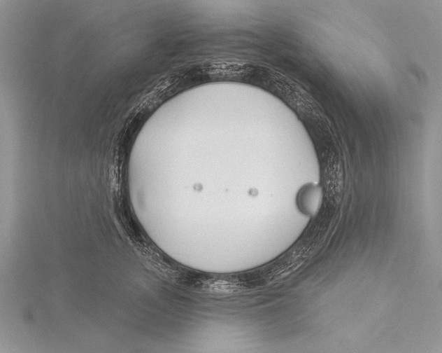 X0000115430755200912020924