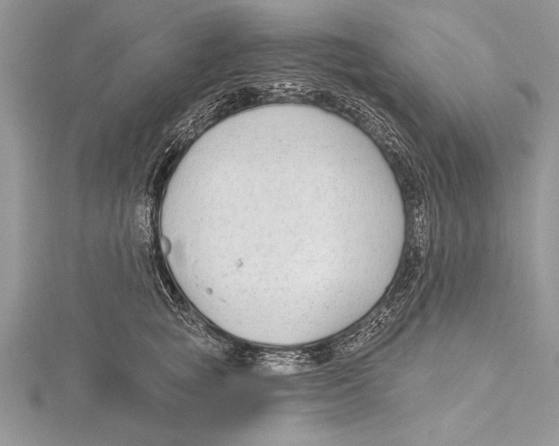 X0000115430757200912020924