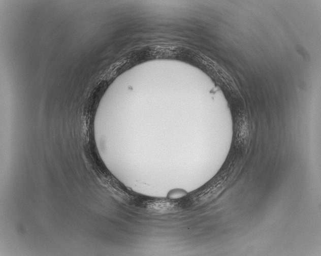 X0000115430759200912020924