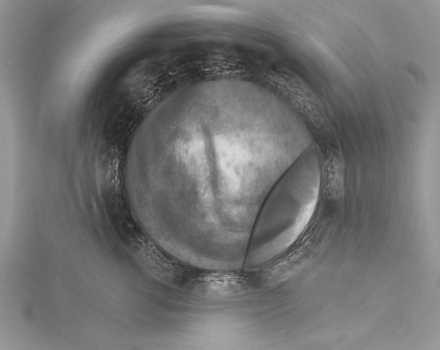 X0000115430762200912020924