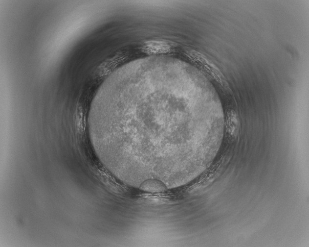 X0000115430763200912020924