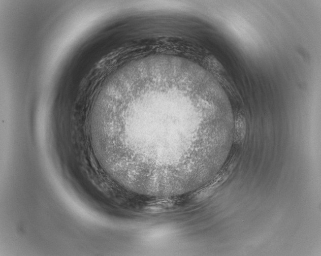 X0000115430765200912020924