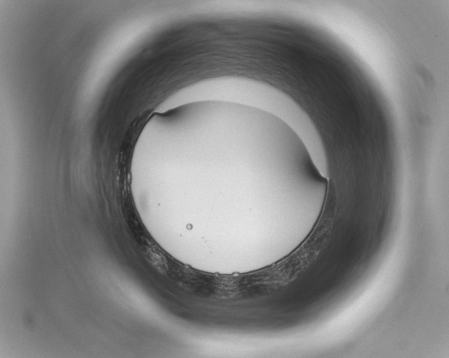 X0000115430766200912020924