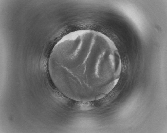 X0000115430767200912020924