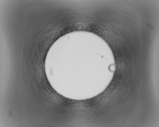 X0000115430769200912020923