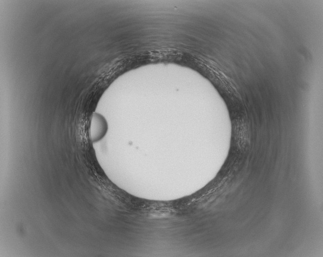 X0000115430770200912020923