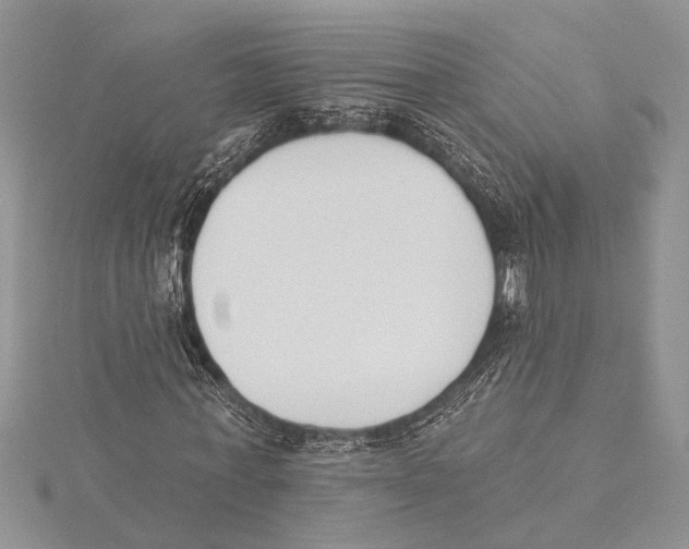 X0000115430771200912020923