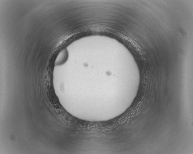 X0000115430776200912020923