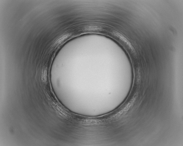 X0000115430777200912020923