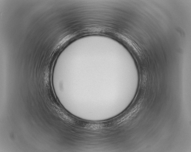 X0000115430778200912020923