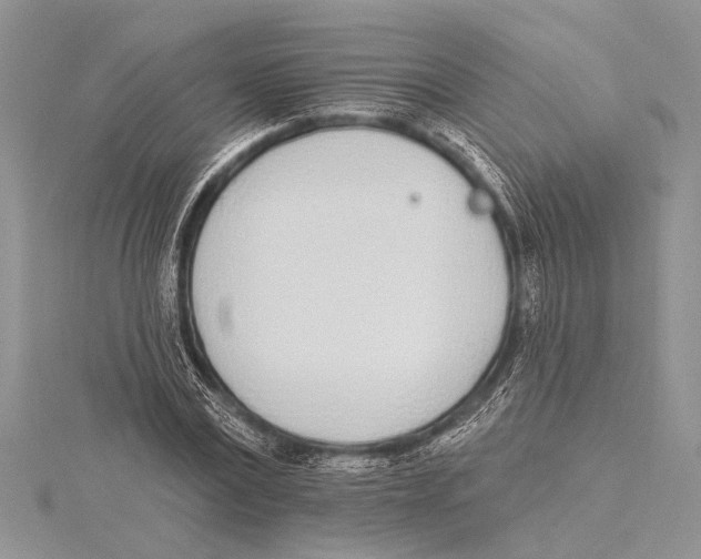 X0000115430779200912020923