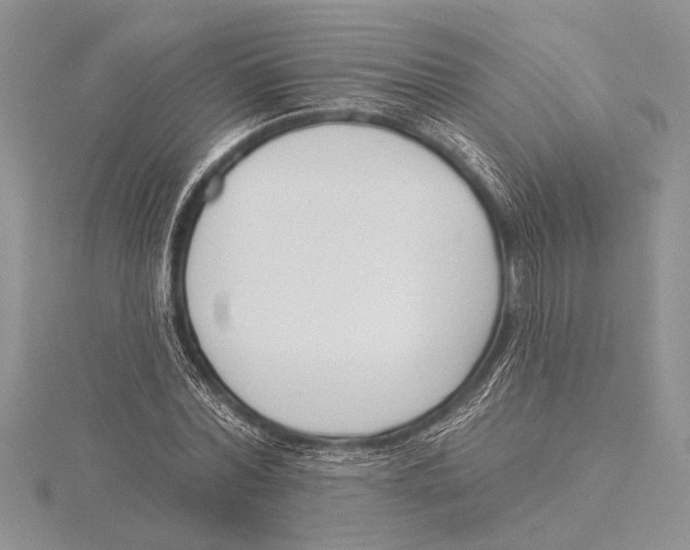 X0000115430780200912020923