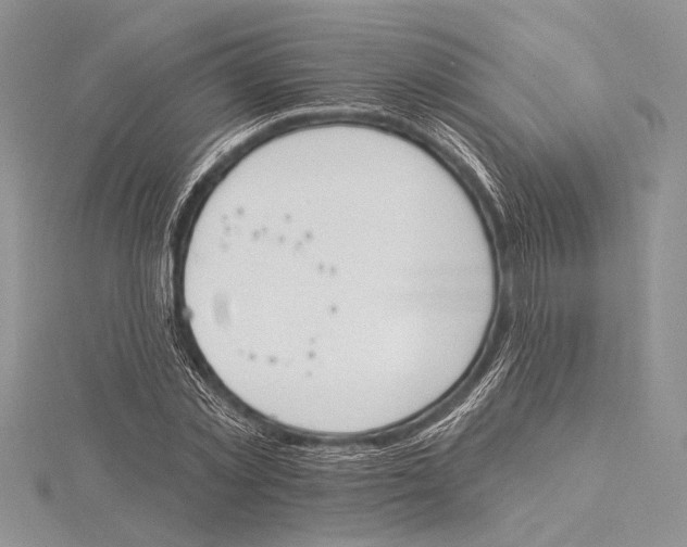 X0000115430781200912020923