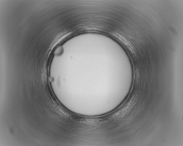 X0000115430782200912020923