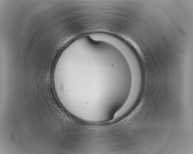 X0000115430785200912020923