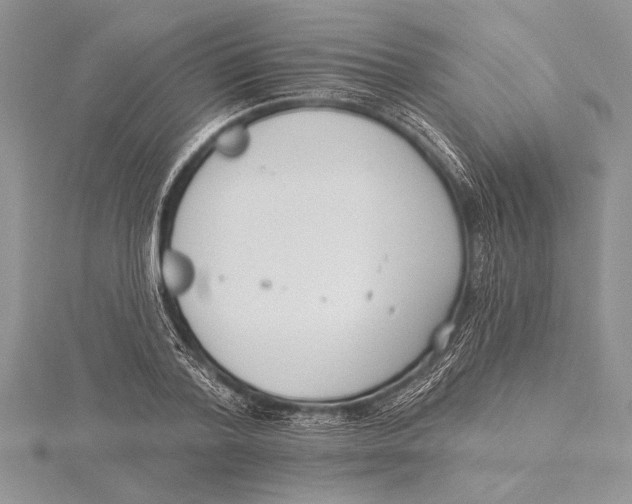 X0000115430788200912020923