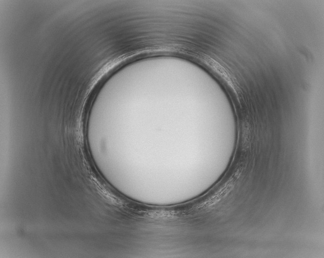 X0000115430789200912020923