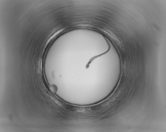 X0000115430790200912020923