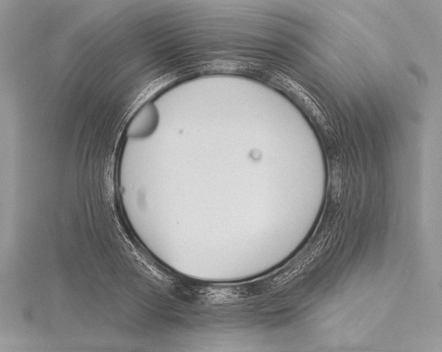 X0000115430794200912020923