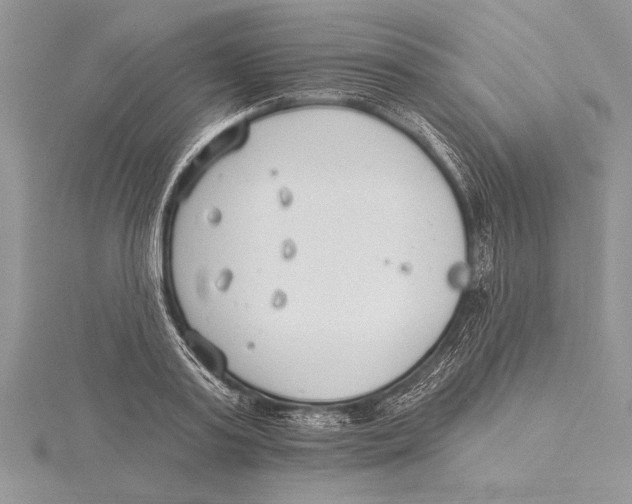 X0000115430795200912020923