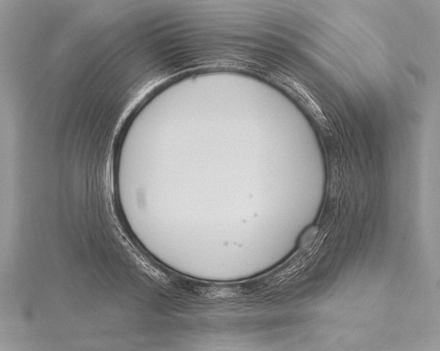 X0000115430796200912020923