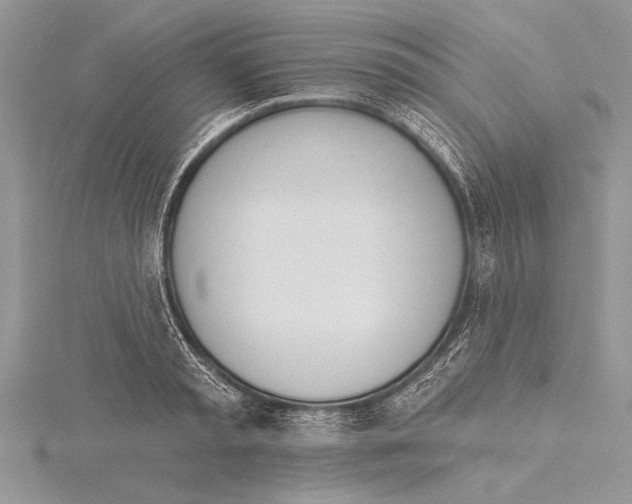 X0000115430797200912020923