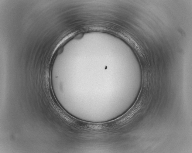 X0000115430798200912020923