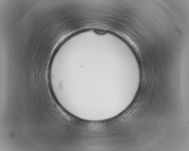 X0000115430799200912020923