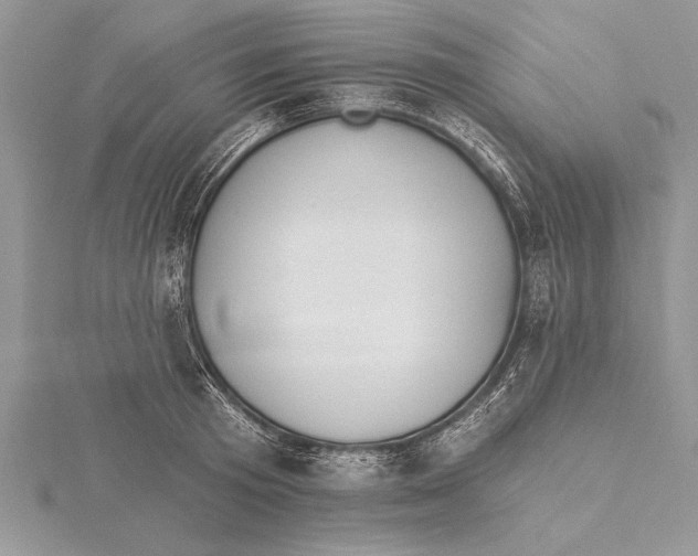 X0000115430801200912020923